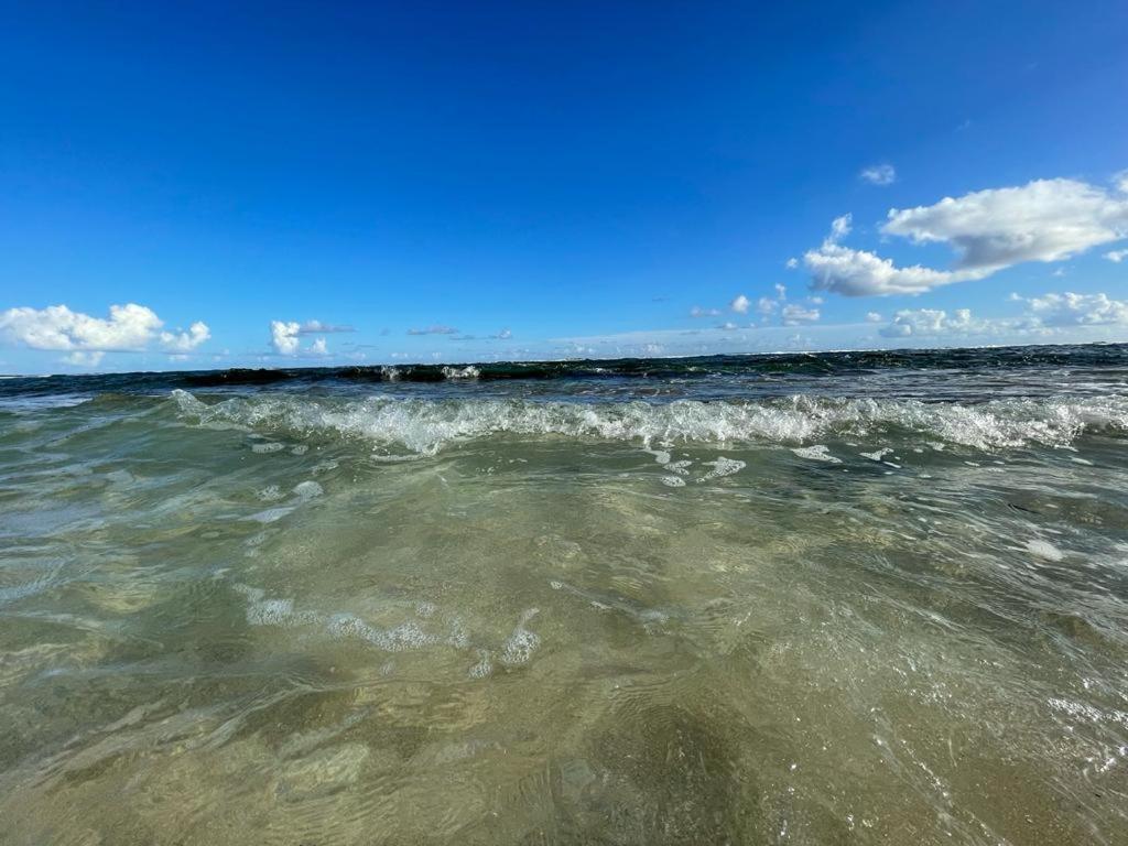 Appartement La Perle, T2 Les Pieds Dans L'Eau A 50M De La Mer サン・フランソワ エクステリア 写真